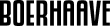 boerhaave